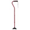 Walking stick 6374