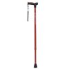 Walking stick 6376