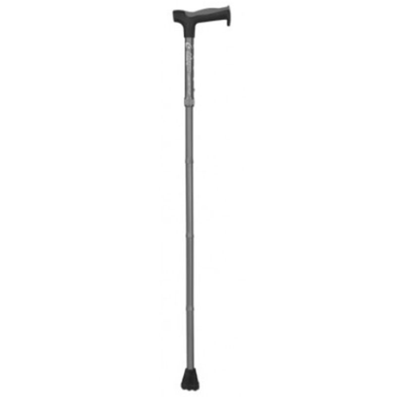 Walking stick 6379