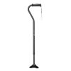 Walking stick 6381