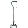Walking stick 6385