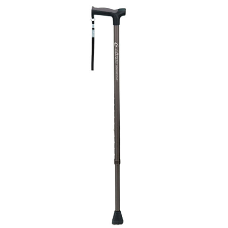 Walking stick 6387